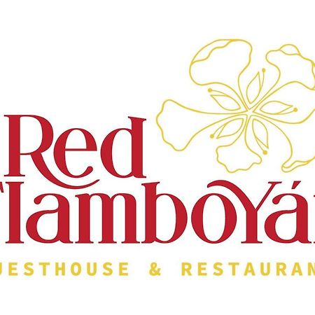 Red Flamboyan Guesthouse And Restaurant Rincon Exterior foto