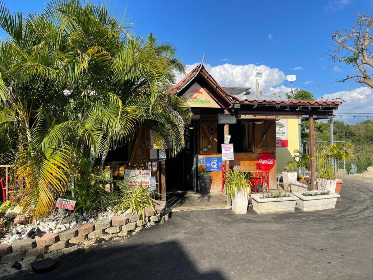 Red Flamboyan Guesthouse And Restaurant Rincon Exterior foto